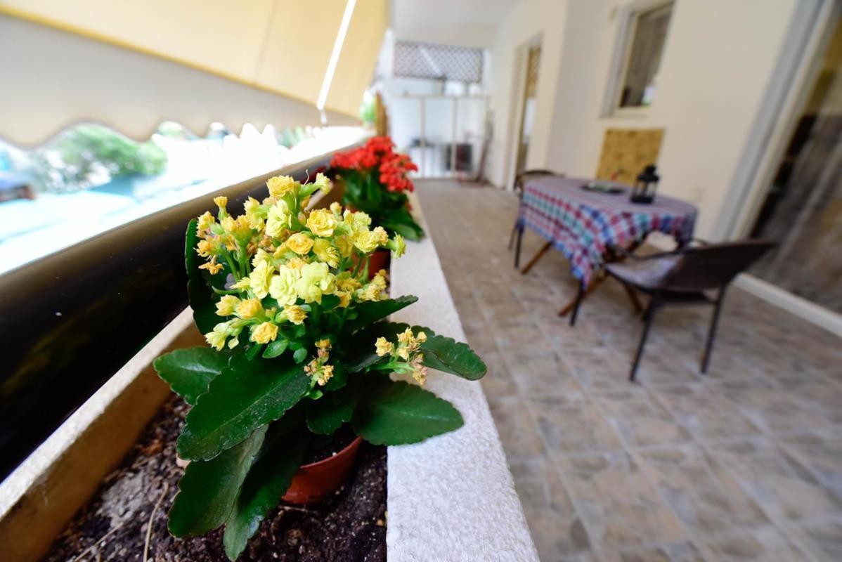 Athens Beauty 5 Minutes From Attractions Apartment Екстериор снимка